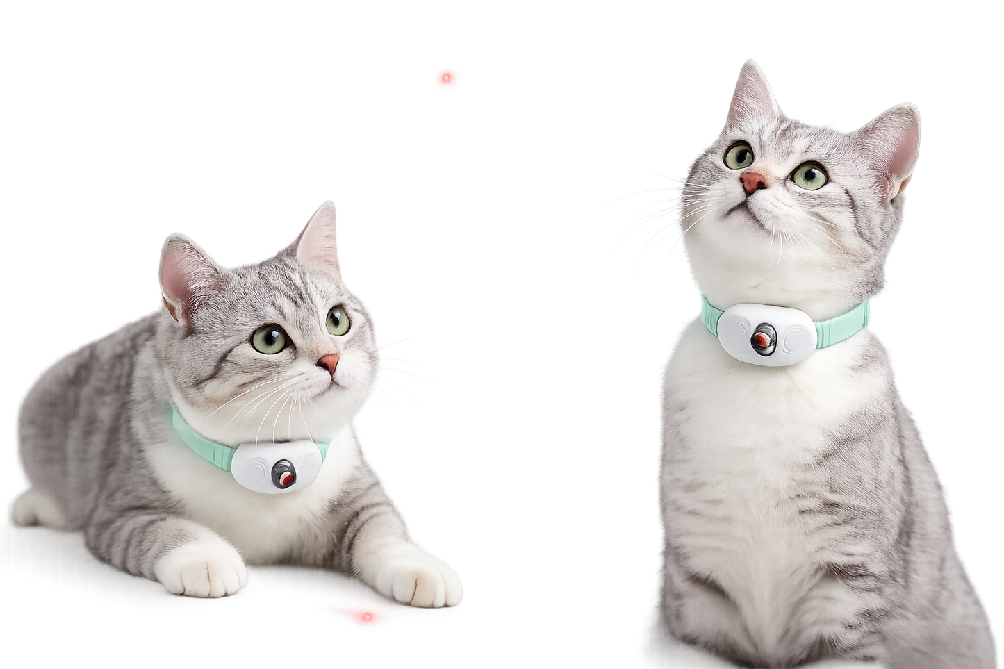 Smart Laser Cat Collar Toy