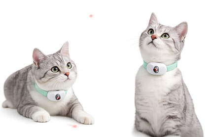 Smart Laser Cat Collar Toy