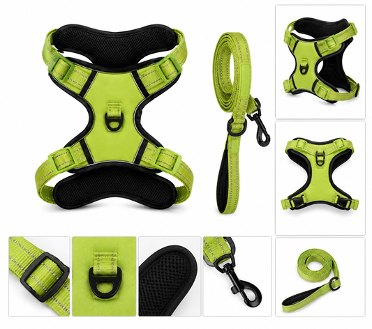 Premium No-Pull Dog Harness with Leash Set
