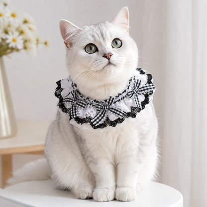 Elegant Lace Cat Collar