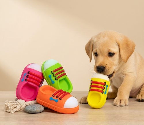 Cute Shoe Shape Dog Chew Toy for Puppies & Small Dogs