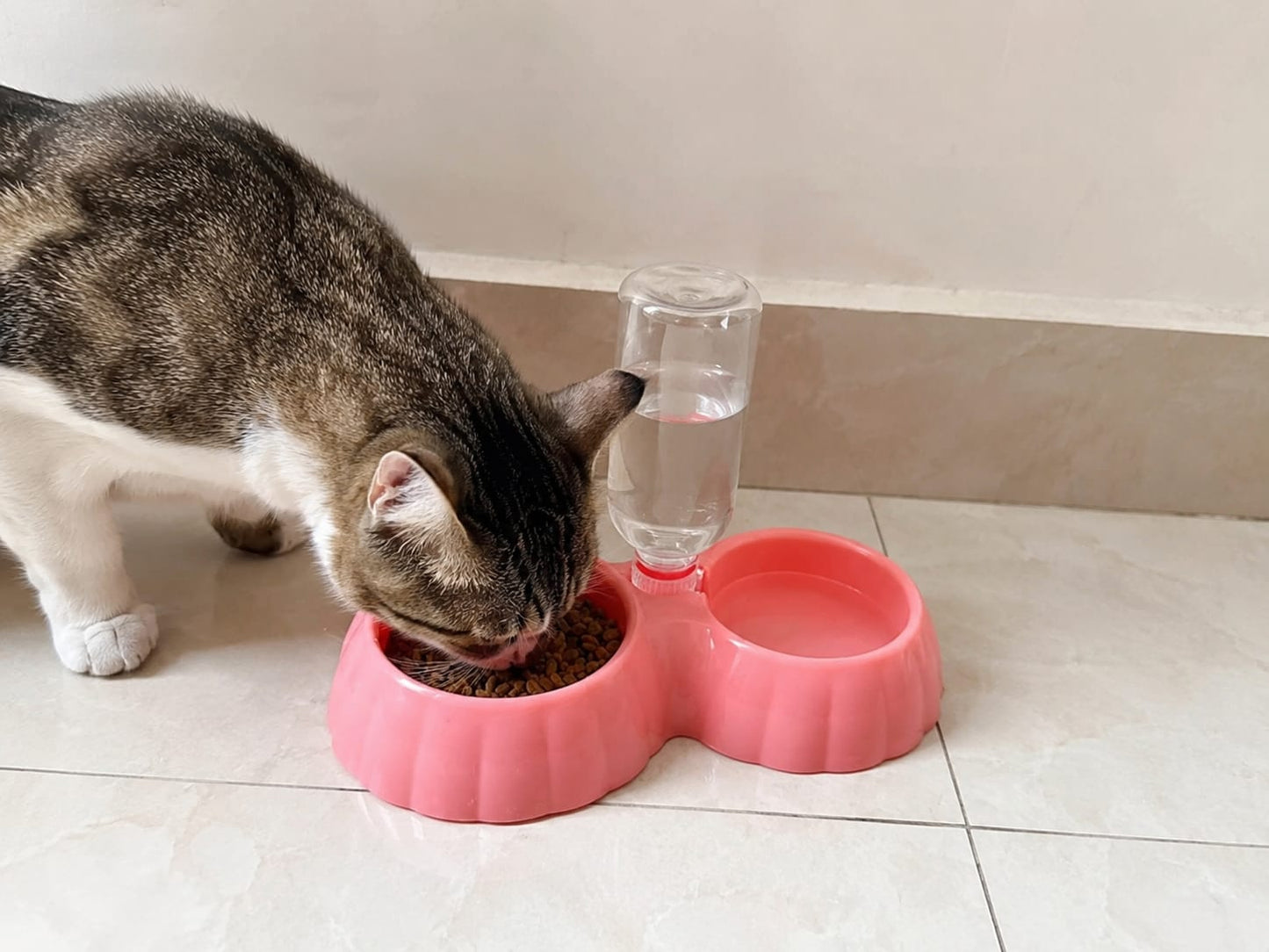 Automatic Water Dispenser Double Pet Feeding Bowl