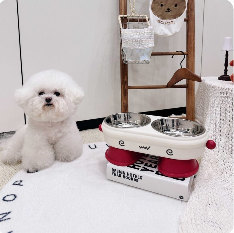 Elevated Double Stainless Steel Pet Feeding Bowl
