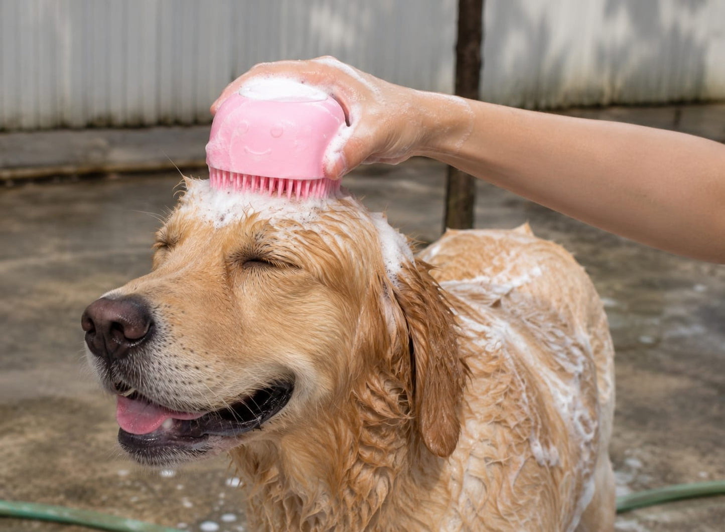 Silicone Pet Bath Massage Brush | Soft Grooming & Shampoo Brush for Dogs & Cats